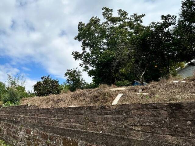 #18 - Área para Venda em Bom Retiro do Sul - RS - 1